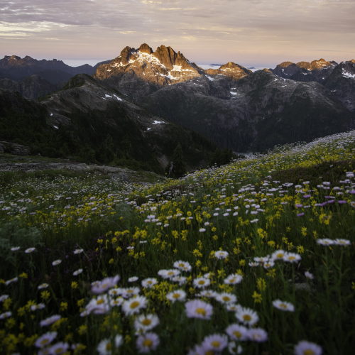 Beauty at first light. 