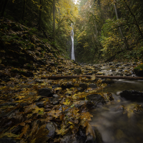 Fall, at last. 