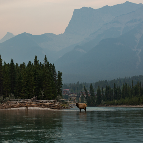 River Crossing 
