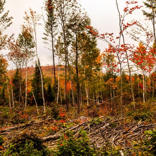 Colourful Distant Hill