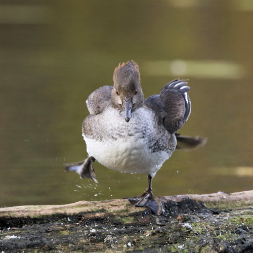 End of the year 2020 Happy Dance