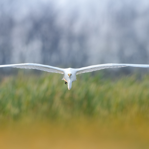Incoming!