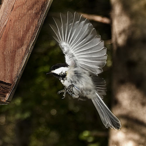 In air