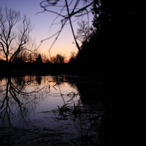 Sundown Silhouette