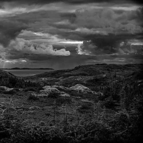 Coastal Hike and Trees. Fogo Island.