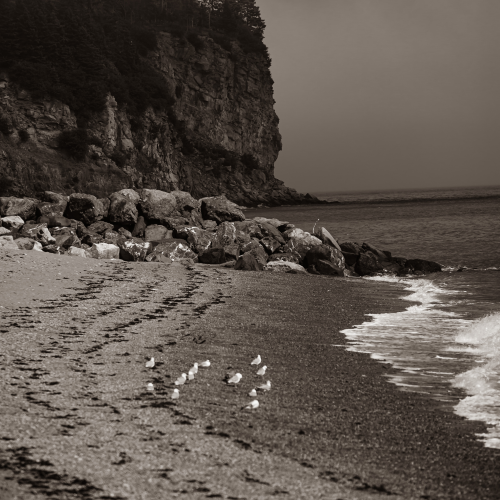 Beach Hike - Bay of Fundy, Alma NB.