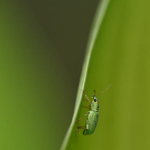 On The Move