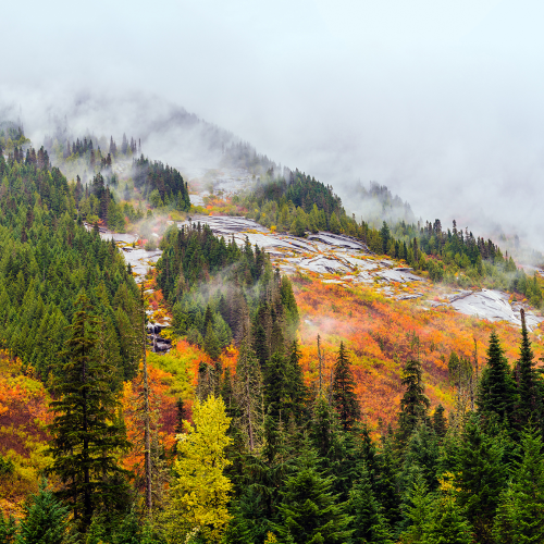 Amazing fall foliage in stormy weather at the Coquihalla Summit