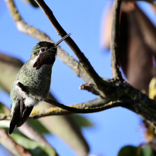 Singing in Patricia Bay
