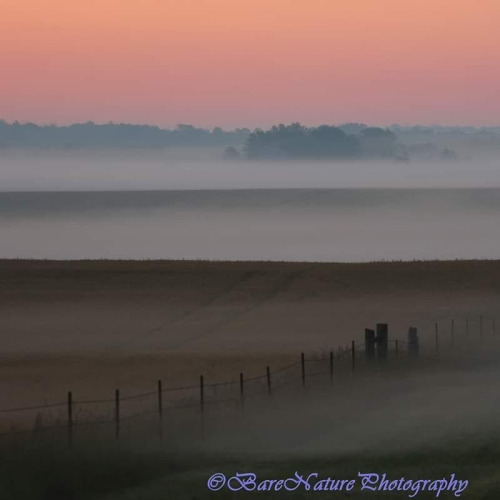 Early morning fog