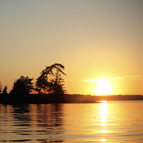 Sunset Silhouettes