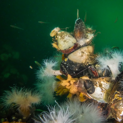 What Lies Beneath