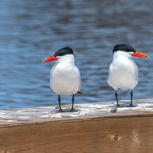 Not talking to each other.