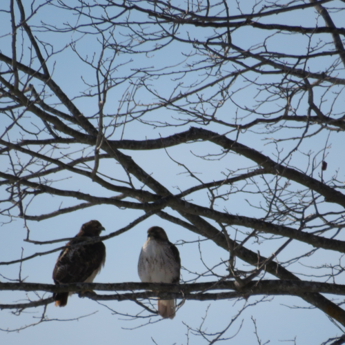 The conversation 