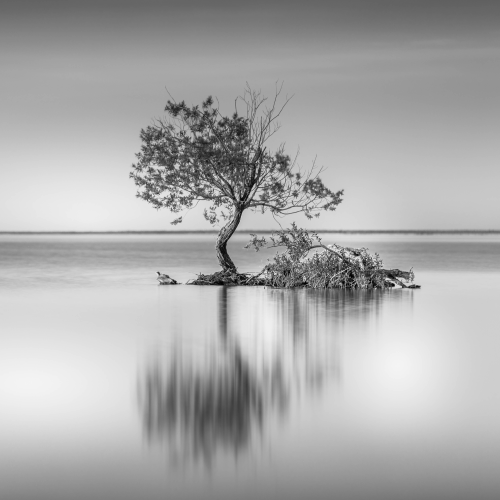 Standing All Alone