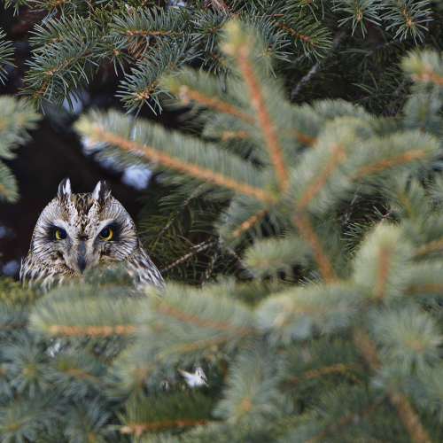 I am looking at you
