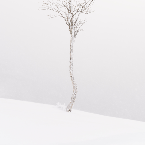 Resilience