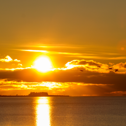 Sunrise silhouette of seven