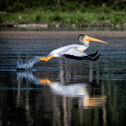Take Off