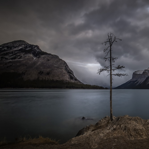 Earth, Water & Air