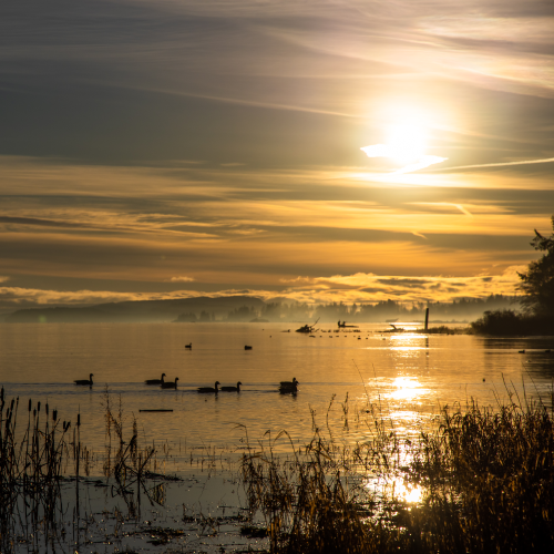 Sunrise, after the sunrise