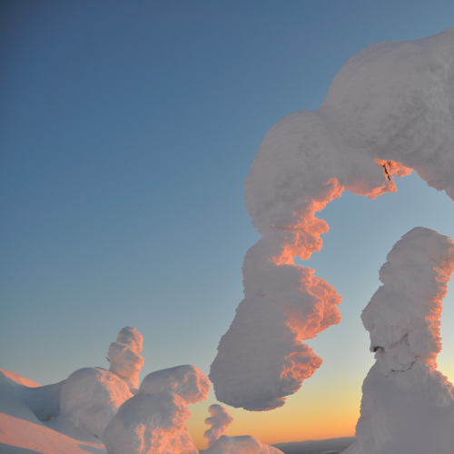 snow_mummies