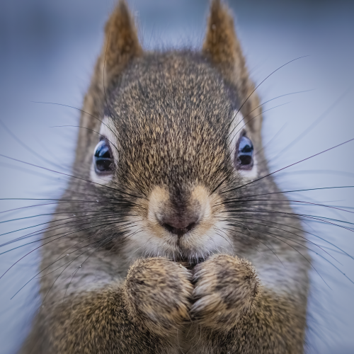 I'm Ready for My Close Up