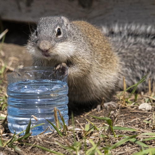 Thanks for the Drink!