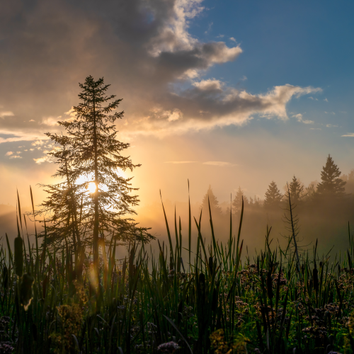 Elliot Lake Sunrise