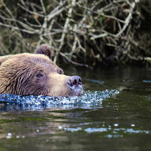 Pushing Water