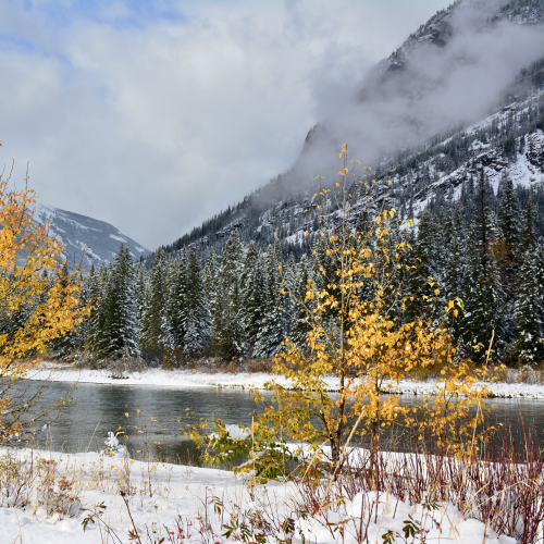 Fall Radiance , Banff National Park