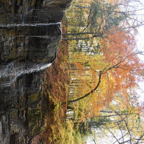 Fall colour by a water fall