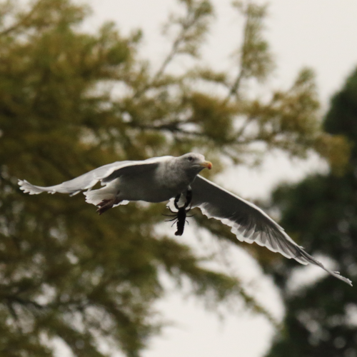 Hitchin' A Ride