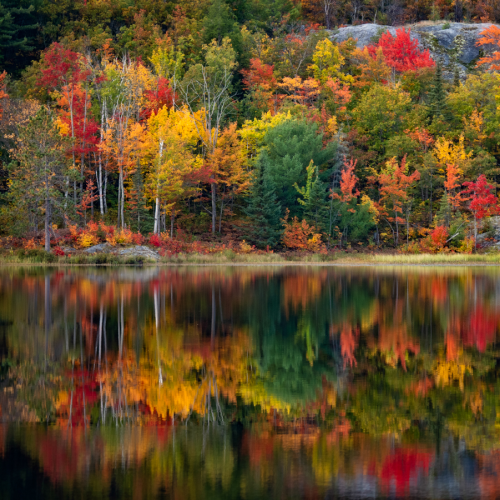 Autumn Colour Palette