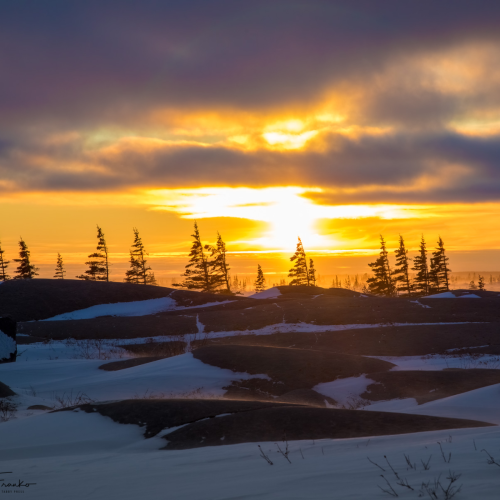 Krumholz Sunset