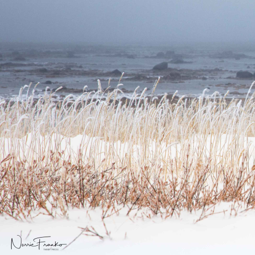 Hudson BAy