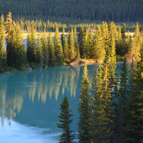 Sunset on the Bow River 