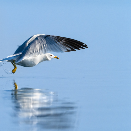 Take Off