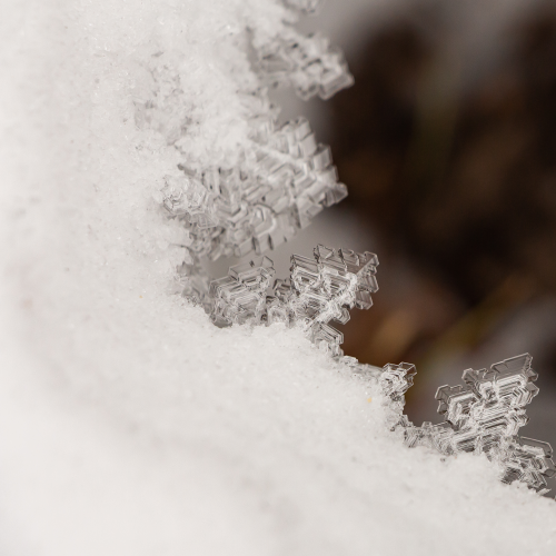 Ice Crystals