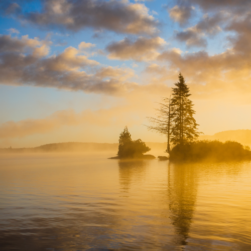 Algonquin Park Tree Island Sunrise