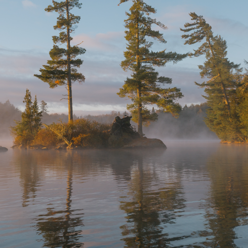 Algonquin Park - Backcountry Sunrise 