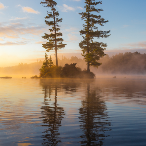 Tree Island in Algonquni