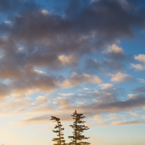 Tree Island Sunrise