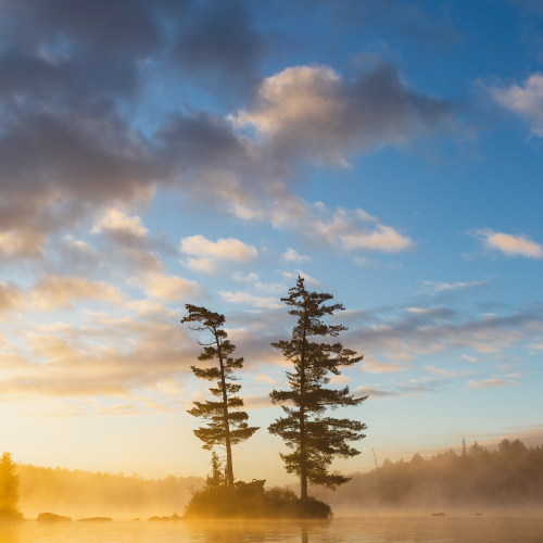 Tree Island Sunrise