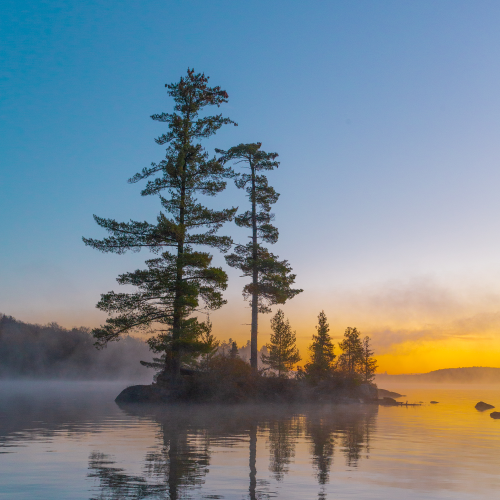 Algonquin Park - Tree Island