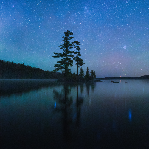 Algonquin Park - Tree Island at Night