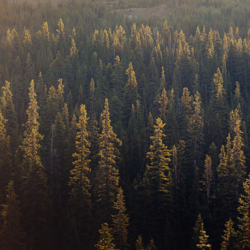 Tonquin Valley Sunrise