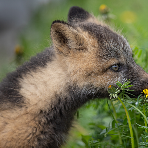 Time To Smell The Flowers