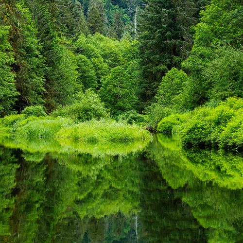 Garden of Eden
