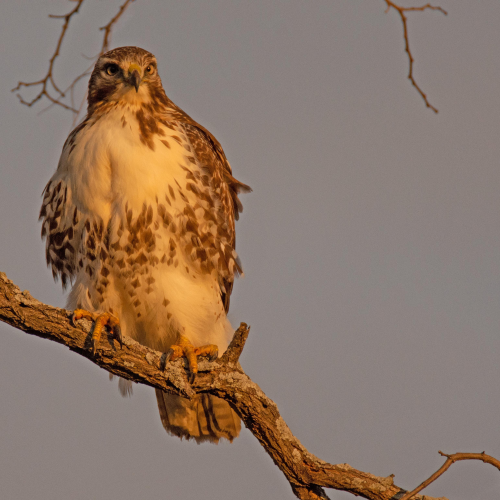 You Looking at me?